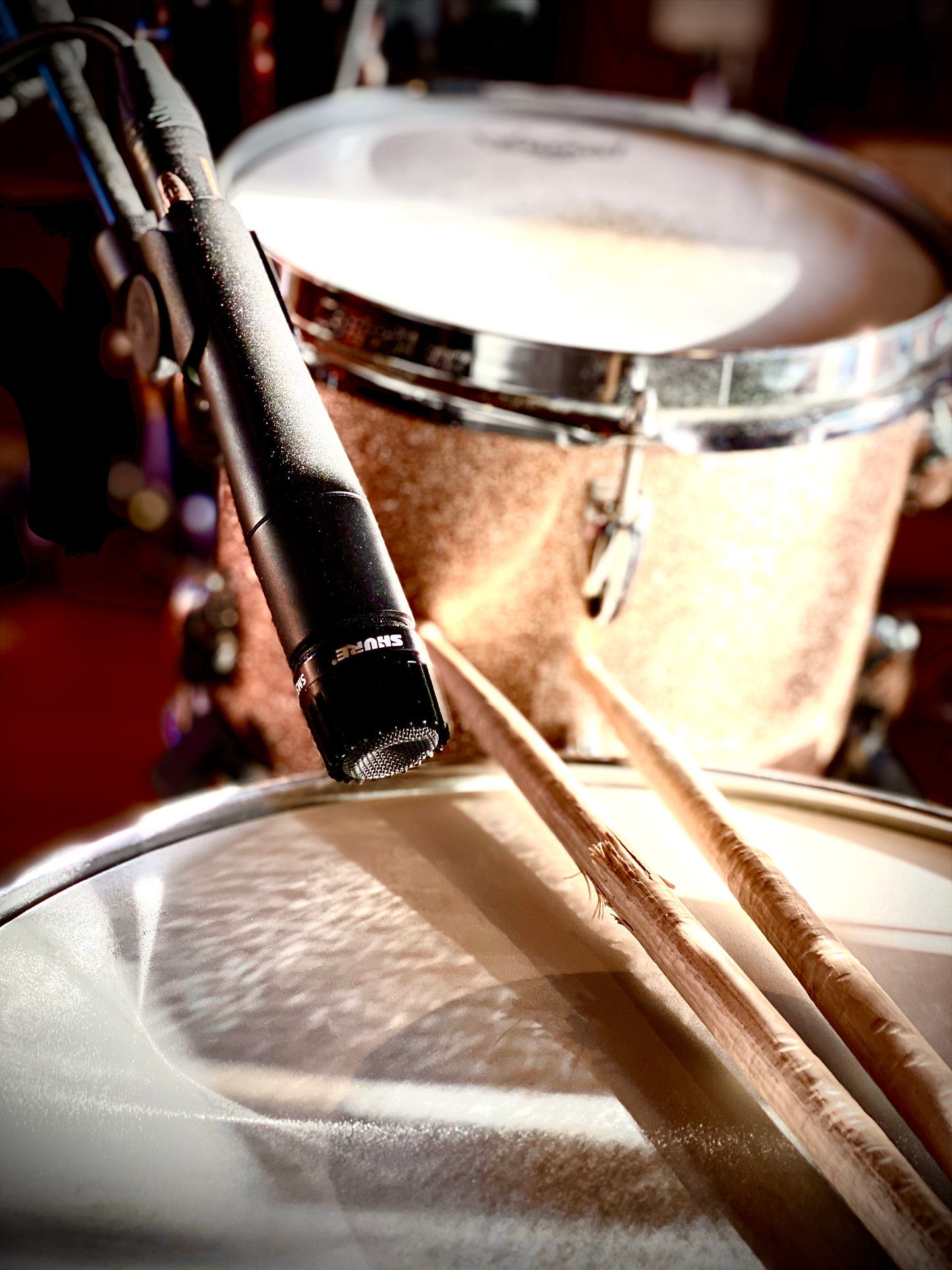 FREE Drumless Dub Reggae Play Along