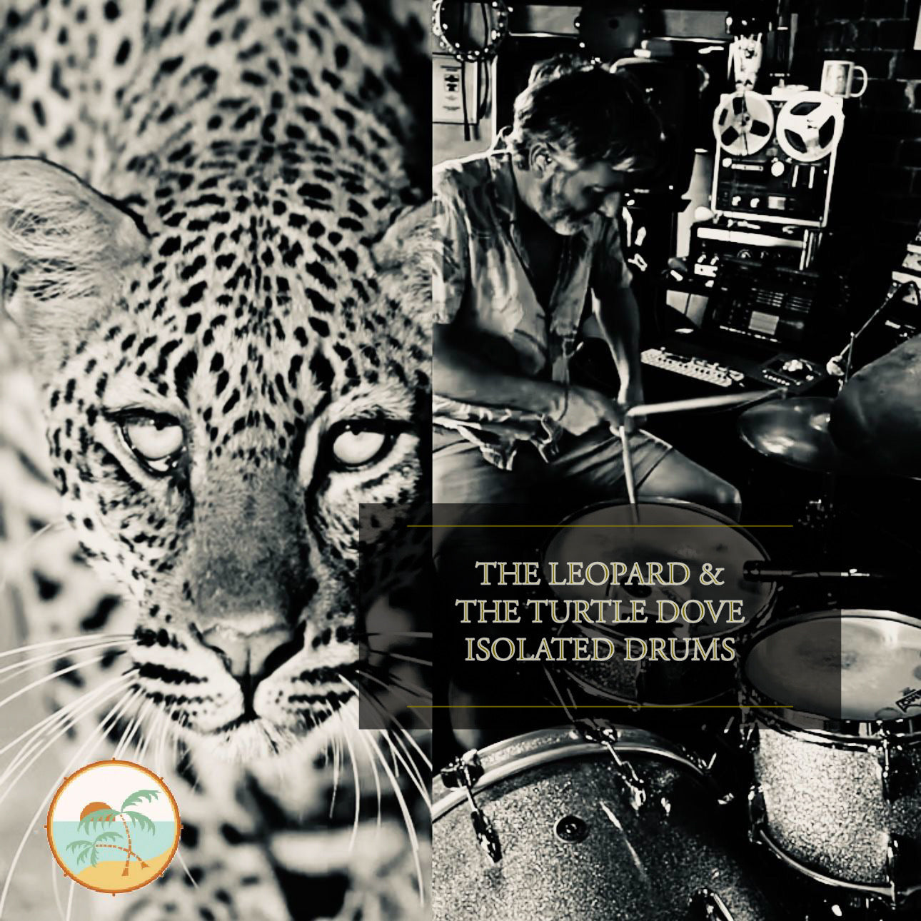 The Leopard & The Turtle Dove Isolated Drums